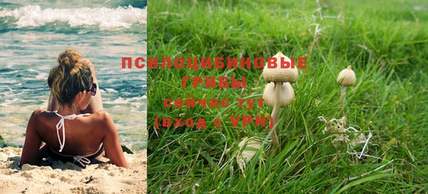 PSILOCYBIN Нефтегорск