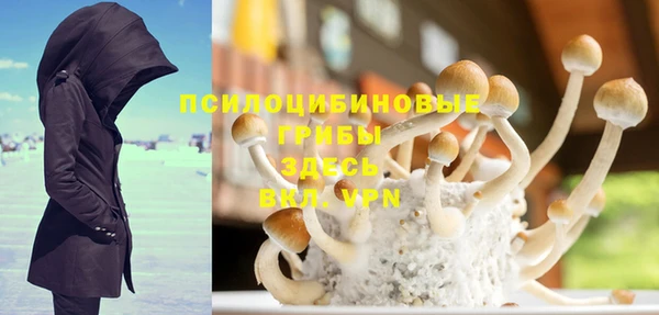 PSILOCYBIN Нефтегорск