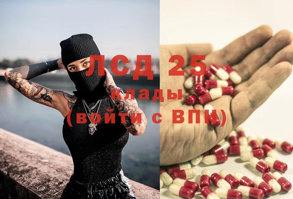 PSILOCYBIN Нефтегорск
