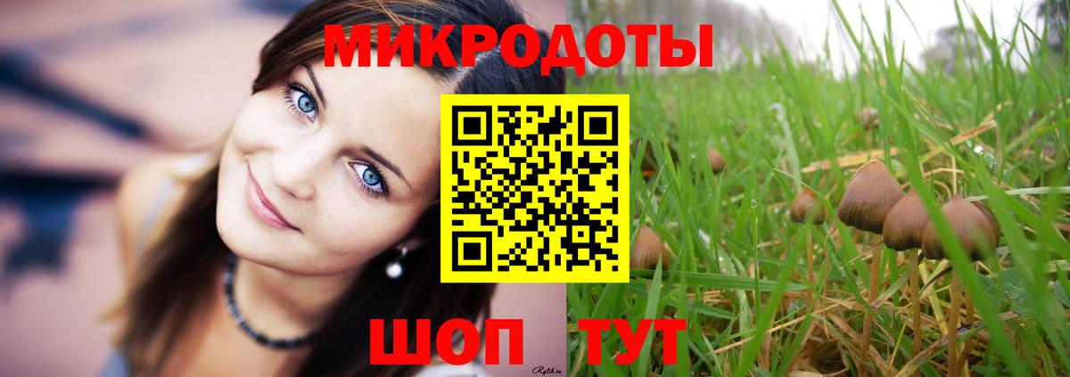 Галлюциногенные грибы Magic Shrooms  Вход с VPN  где найти наркотики  Лабинск  Галлюциногенные грибы мухоморы 